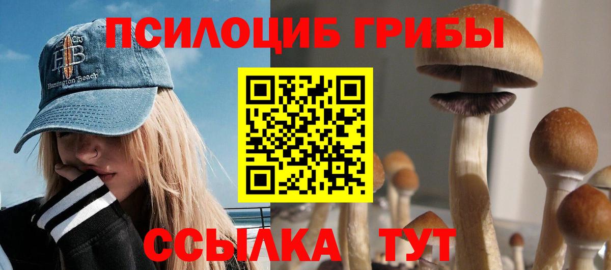 Хасавюрт  Псилоцибиновые грибы Psilocybe  Вход с VPN 